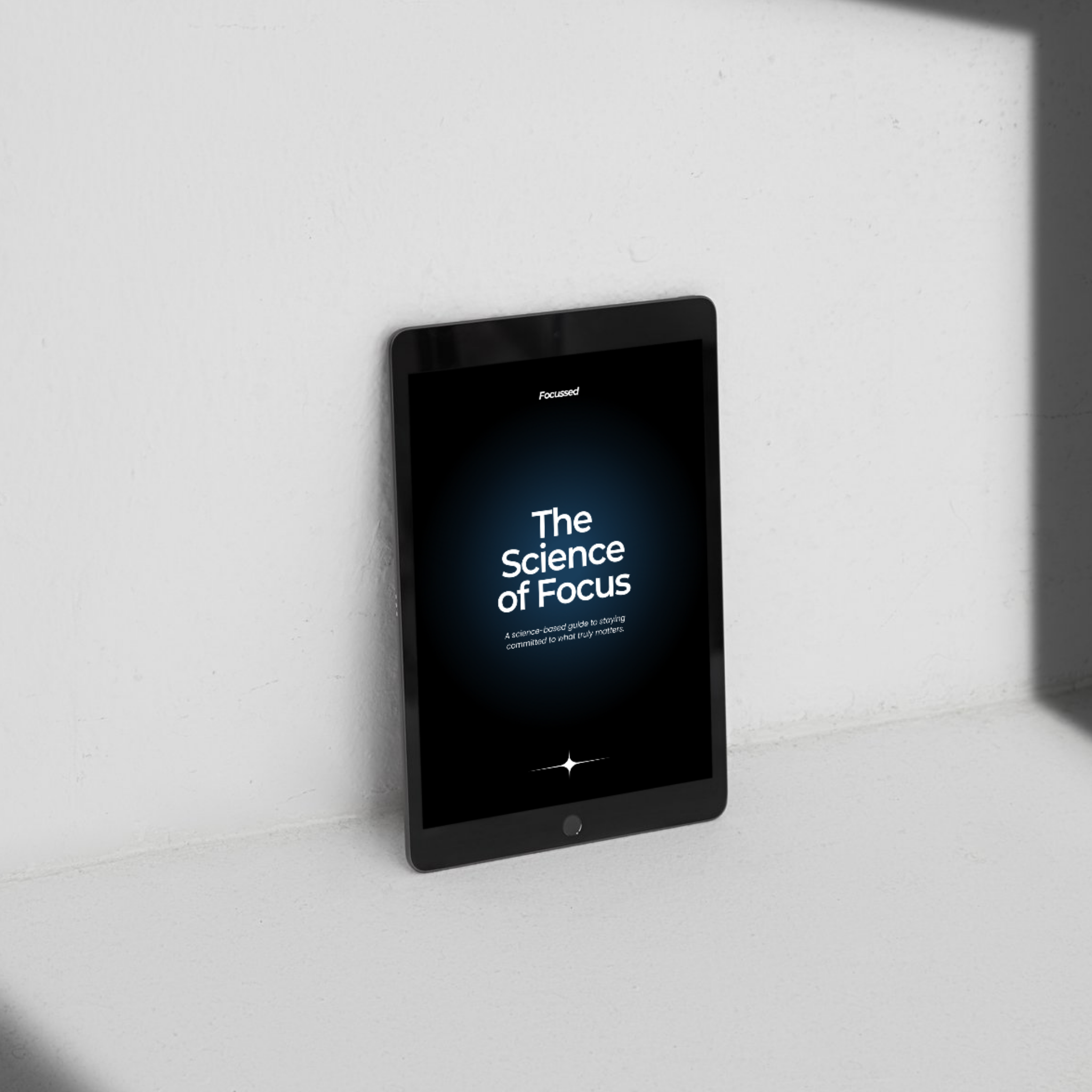 E-Book - The Focussed Blueprint